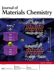 (2009) Molecular models and simulations of layered materials