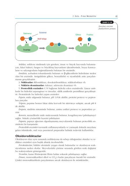 â¹Ã§indekiler - Anadolu Ãniversitesi