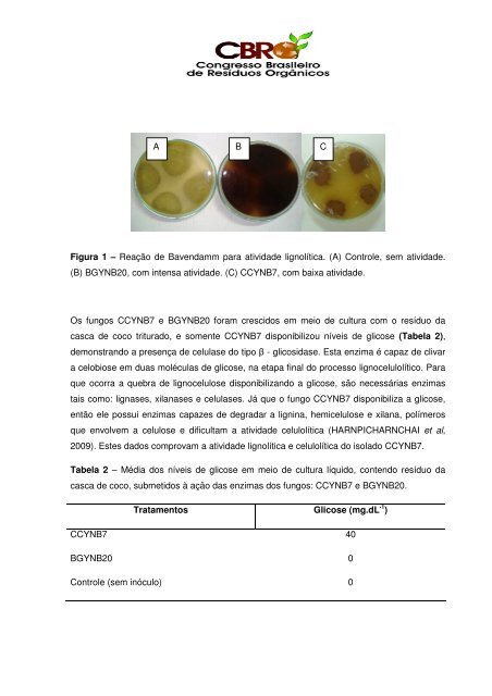 isolamento e seleção de fungos endofíticos com atividade lignolítica ...