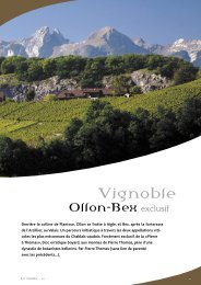 Vignoble Ollon-Bex exclusif - STLDESIGN