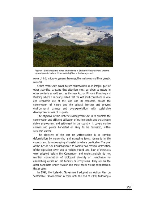 BIOLOGICAL DIVERSITY IN ICELAND - Convention on Biological ...