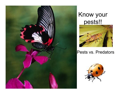 Pesticides and IPM Concepts - Sarasota County Extension