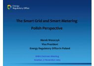 The Smart Grid and Smart Metering Polish Perspective