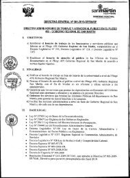 DIRECTIVA GENERAL NÂº 001-2010-GRSM/OP - Gobierno Regional ...