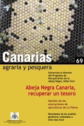 Abeja Negra - Gobierno de Canarias