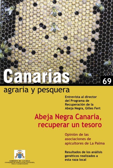 Abeja Negra - Gobierno de Canarias