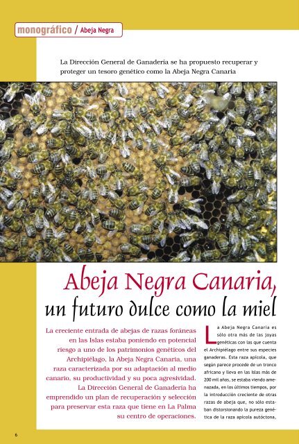 Abeja Negra - Gobierno de Canarias