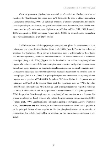 Implication des protéines vitamine K-dépendantes dans la ...