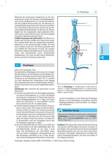 7.2.1 Trachea 7.2.2 Lungen Merke