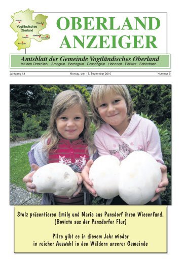 OBERLAND ANZEIGER Amtsblatt der Gemeinde Vogtländisches ...