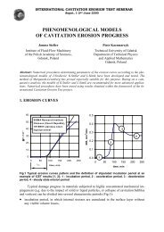 Phenomenological models of cavitation erosion kinetics