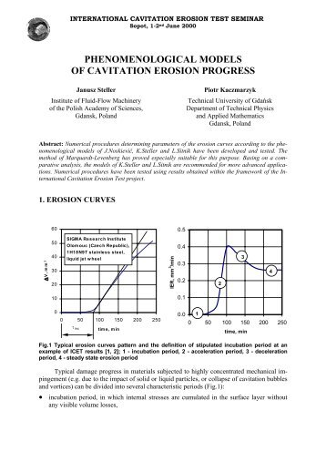 Phenomenological models of cavitation erosion kinetics