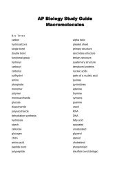 AP Biology Study Guide Macromolecules - Mattawan Consolidated ...