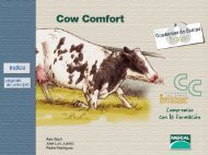 Cow Comfort - Wildpro