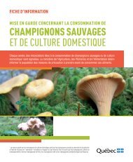Champignons sauvages et de culture domestique - MAPAQ