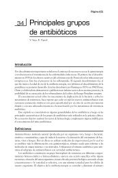 Principales grupos de antibióticos