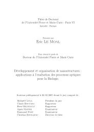 applications à l'exaltation des processus optiques pour la ... - Pastel