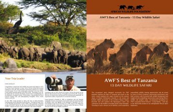AWF'S Best of Tanzania - African Wildlife Foundation