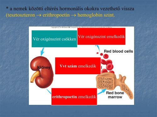 2. - neurobio