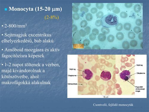 2. - neurobio