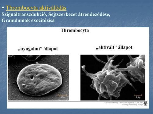 2. - neurobio