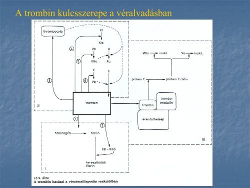 2. - neurobio