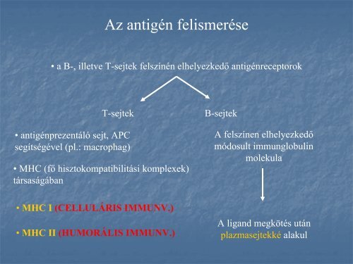 2. - neurobio