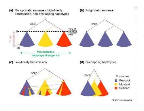 DNA for Genealogists (Intro) - Rcasey.net