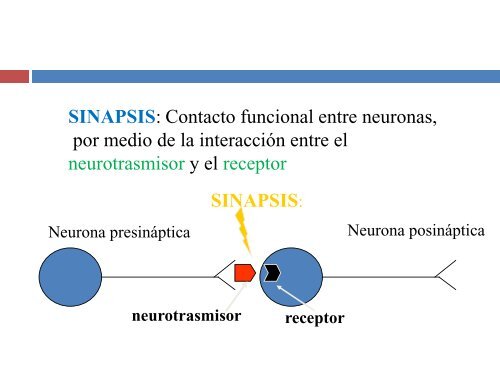 farmacologia sna.pdf - eVirtual UASLP