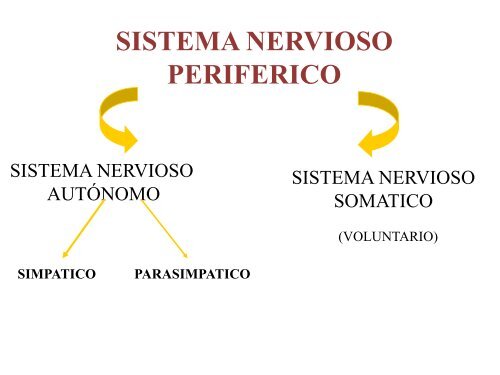 farmacologia sna.pdf - eVirtual UASLP