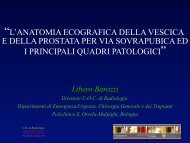 l'anatomia ecografica della vescica e della prostata per via ... - siemg