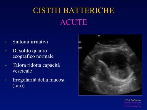 l'anatomia ecografica della vescica e della prostata per via ... - siemg