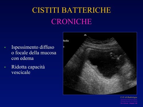 l'anatomia ecografica della vescica e della prostata per via ... - siemg