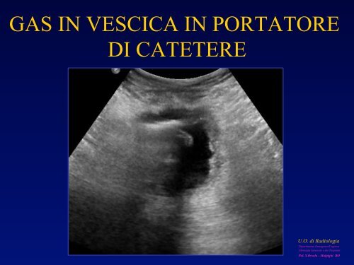 l'anatomia ecografica della vescica e della prostata per via ... - siemg