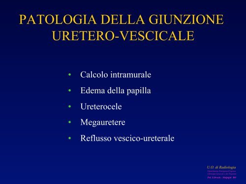 l'anatomia ecografica della vescica e della prostata per via ... - siemg