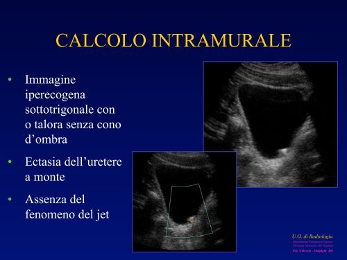 l'anatomia ecografica della vescica e della prostata per via ... - siemg