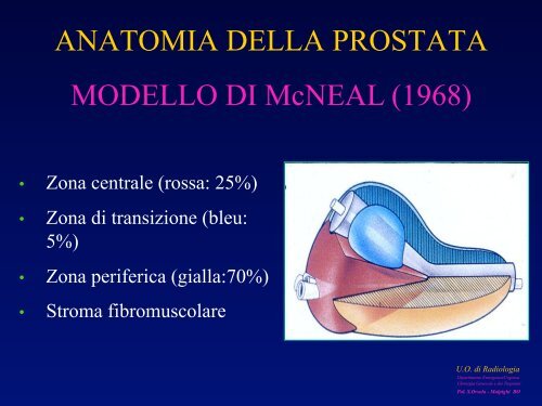 l'anatomia ecografica della vescica e della prostata per via ... - siemg