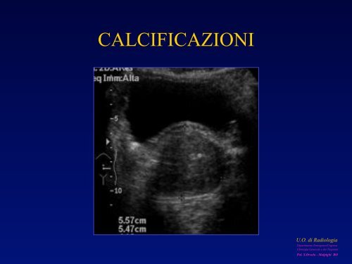 l'anatomia ecografica della vescica e della prostata per via ... - siemg