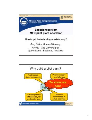 Experiences from MFC pilot plant operation - Microbial Fuel Cells