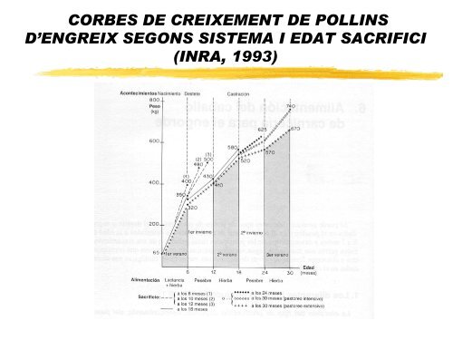 UTILIZACIÓN DE GRASAS EN EL CEBO DE TERNEROS