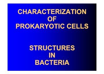 CHARACTERIZATION OF PROKARYOTIC CELLS ARYOTIC CELLS ...