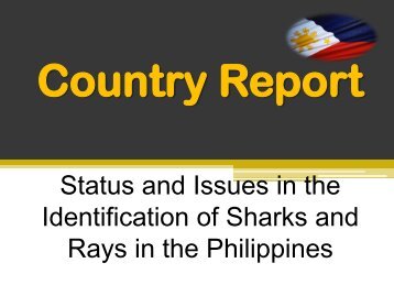 Status and Issues in the Identification of Sharks and Rays ... - Seafdec