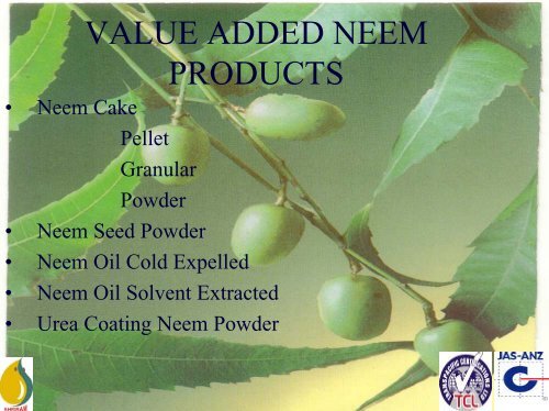 production of value added neem products for pest management