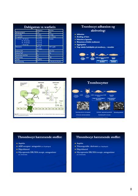 LVA-F-Lm-Antithrombotisk-Virk-S11 - Institutleder til klinisk medicin