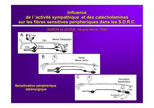 Les blocs sympathiques