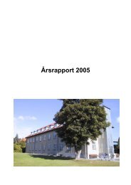 Ãrsrapport 2005 - Synscentralen i StorstrÃ¸ms Amt