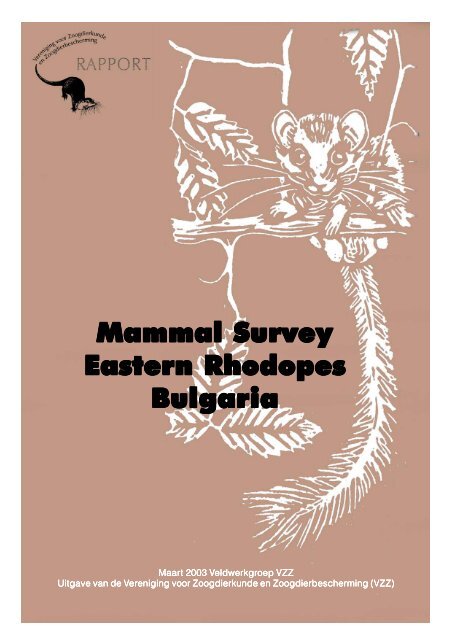Mammal Survey Eastern Rhodopes Bulgaria - De Zoogdiervereniging