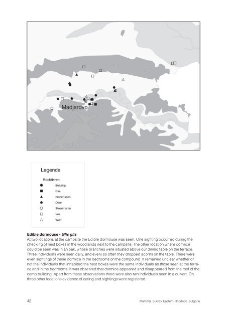 Mammal Survey Eastern Rhodopes Bulgaria - De Zoogdiervereniging