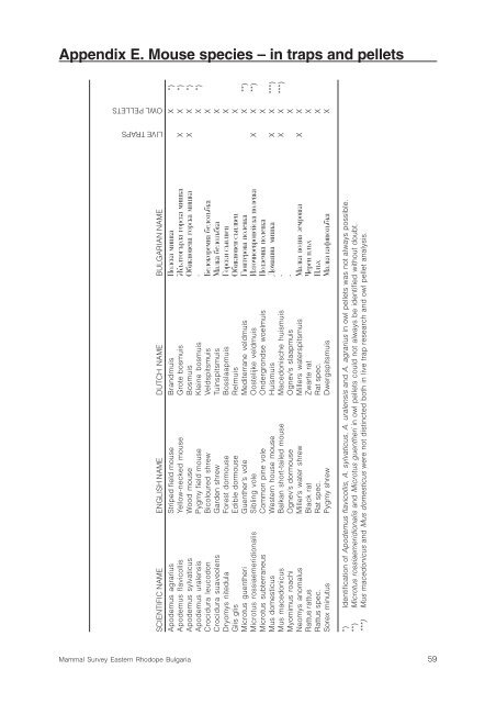 Mammal Survey Eastern Rhodopes Bulgaria - De Zoogdiervereniging