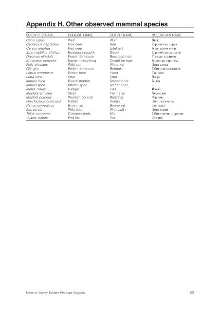 Mammal Survey Eastern Rhodopes Bulgaria - De Zoogdiervereniging